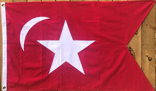 SEWN COTTON SOUTH CAROLINA SECESSION FLAG
